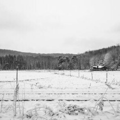 Snowfall