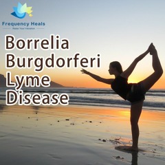 Frequency Heals - Borrelia Burgdorferi Lyme Disease (PROV)