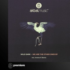 Premiere: Wild Dark - I Am (Amine K Remix) - Akbal Music