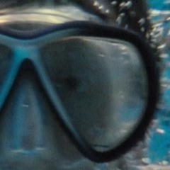 See