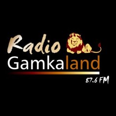 Radio Gamkaland live with Brendon Visser
