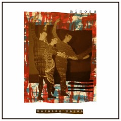 Mimosa (Radio Edit)