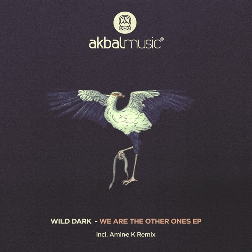 PREMIERE: Wild Dark — I Am (Original Mix) [Akbal Music]