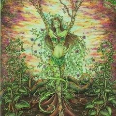 Back to the roots (Oldschool)Zobra's Sound Factory