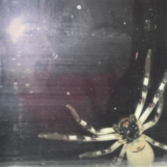 'gumming' Mix for Nice Music