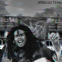 AMBUSH TEKK (Bob Marley - Ambush In The Night)