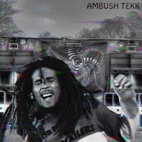 AMBUSH TEKK (Bob Marley - Ambush In The Night)