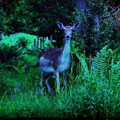 BreezeBlock Beats 4 Live