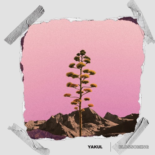 Blossoming (Radio Edit)