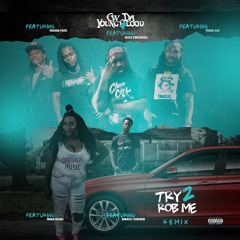 Try 2 Rob Me (Remix) feat. Smacc Turner, Yung Cat, Young Fate, Miss Kush & Rico Freeman