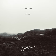Launaea - Tama