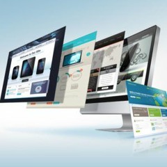 What To Expect Site Launch