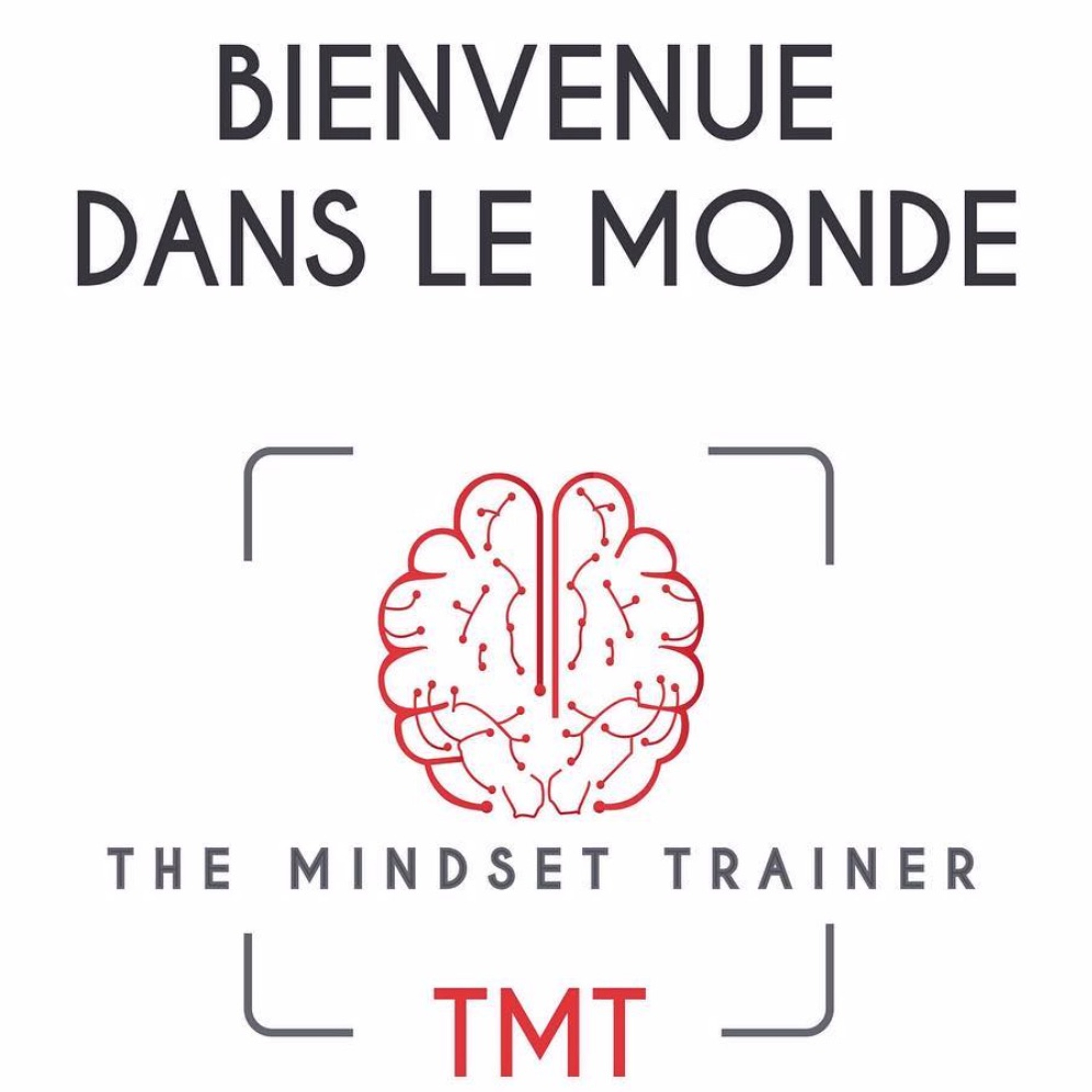 The Mindset Trainer