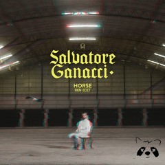 Salvatore Ganacci - Horse (RKN Edit)