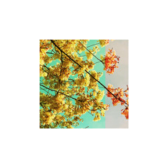 informal. - Hung Up