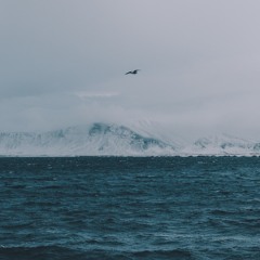 SoundCloud Weekly 7.6.2019