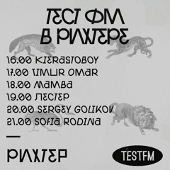 TESTFM в Рихтере w/ Sofia Rodina — 19/05/2019