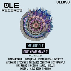 02.Mesquitas - Ole Men (Original Mix) Snippet