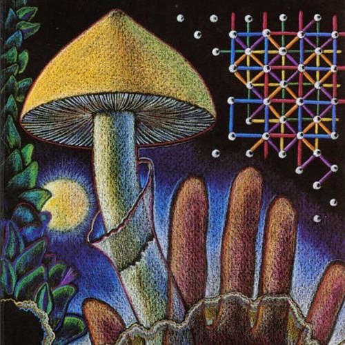 SHROOMIN