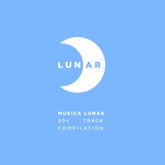 Francisco Tettamanti - U Can Find Yourself (Snippet) [MUSICA LUNAR]