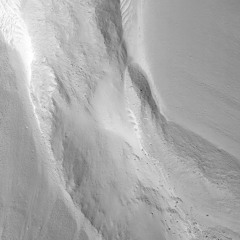 The Netizens - Kristina Golubkova