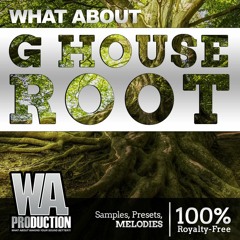 600+ Bass House Samples, Presets & FL Studio Templates | G House Root