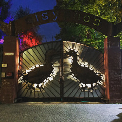 Patrick Zigon @ Sisyphos Wintergarten, 20.05.2019