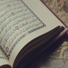 تلاوة الشيخ عمرو الشرقاوي .. قيام ليلة السابع عشر من رمضان 1440