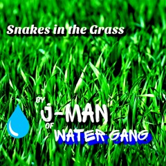 "Snake In The Grass" by J. Man