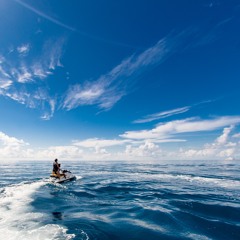 Fresh Air (As featured on CNN's Morning Express With Robin Meade)