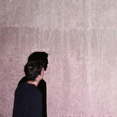 Shake