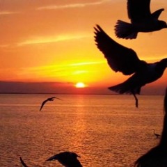 Razón de Vivir (de Víctor Heredia)