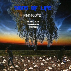 Pink Floyd - Signs Of Life [Ayman Nageeb DownTempo Mix]