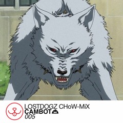 Lost Dogz Chow Mix: CAMBOT