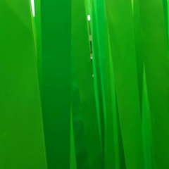 groovacious full moon motion