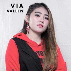 DJ VIA VALLEN HOLIDAY