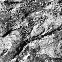 Resident |Live Recording|