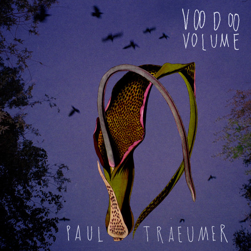 Paul Traeumer — Voodoo Radio