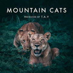 Mountain Cats - Spacey Trap Beat | Prod. T.A.V