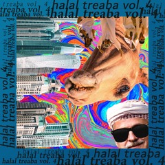 Halal Treabă Vol.4 (Techno, House, Electro mix)