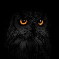 Feedback (*Unmastered*)