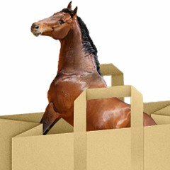 Horses In The Bag