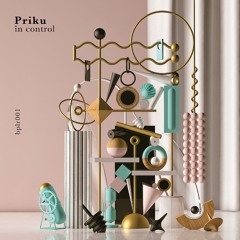 B1 Priku - Mysterium