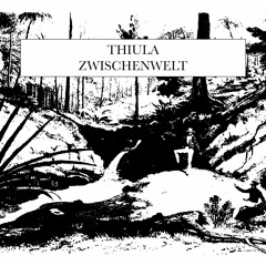 Primitive Accumulation