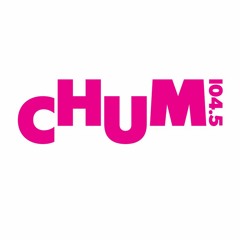Wisebuddah Chum 2019 Montage