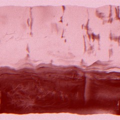 Ametsub - Blotted Out (Silent Science Redo) v.2