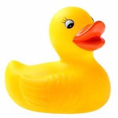 The Story About The Boy With The Rubber Duck