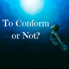To Conform Or Not...