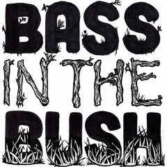 Bass in the Bush 2019, Sunday @ 2-3pm (320 download)