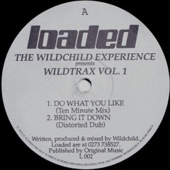 Bring It Down - Wildchild  (HUD Oldskool Rerub) - FREE DOWNLOAD